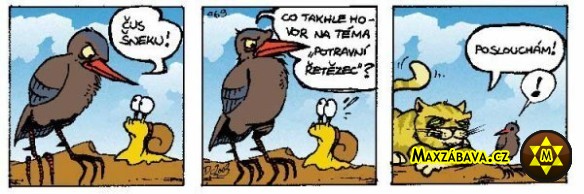 Potravní řetězec komiksově
