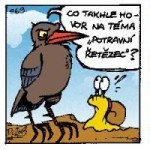 Potravní řetězec komiksově